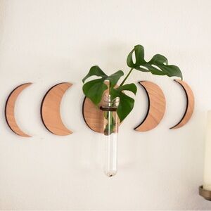 Moon Phase Hanging Plant Propagation Test Tube Station Gift Wall Decor Vase Boho